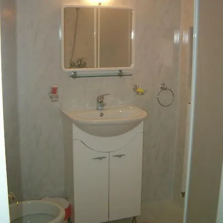 Casa Alexandru Guest house *