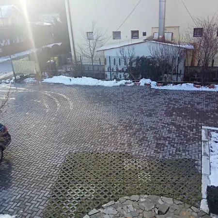 Casa Alexandru Guest house