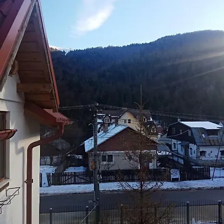Casa Alexandru Guest house