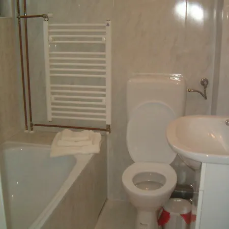 Casa Alexandru Guest house