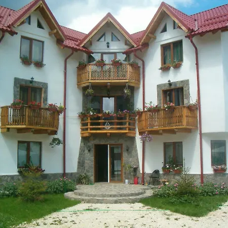 Casa Alexandru Guest house *