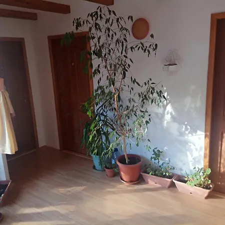 Casa Alexandru Guest house
